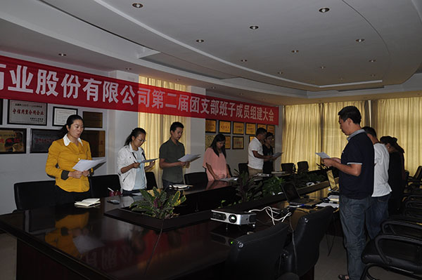 云南维和药业党支部召开党员民主生活会